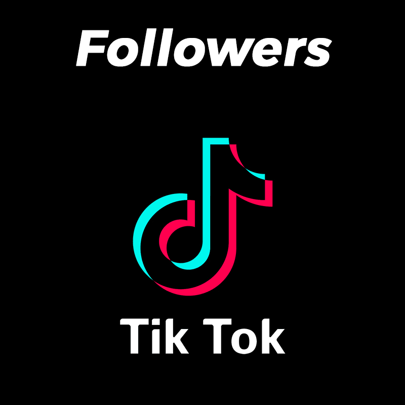TikTok Followers ++ Logo